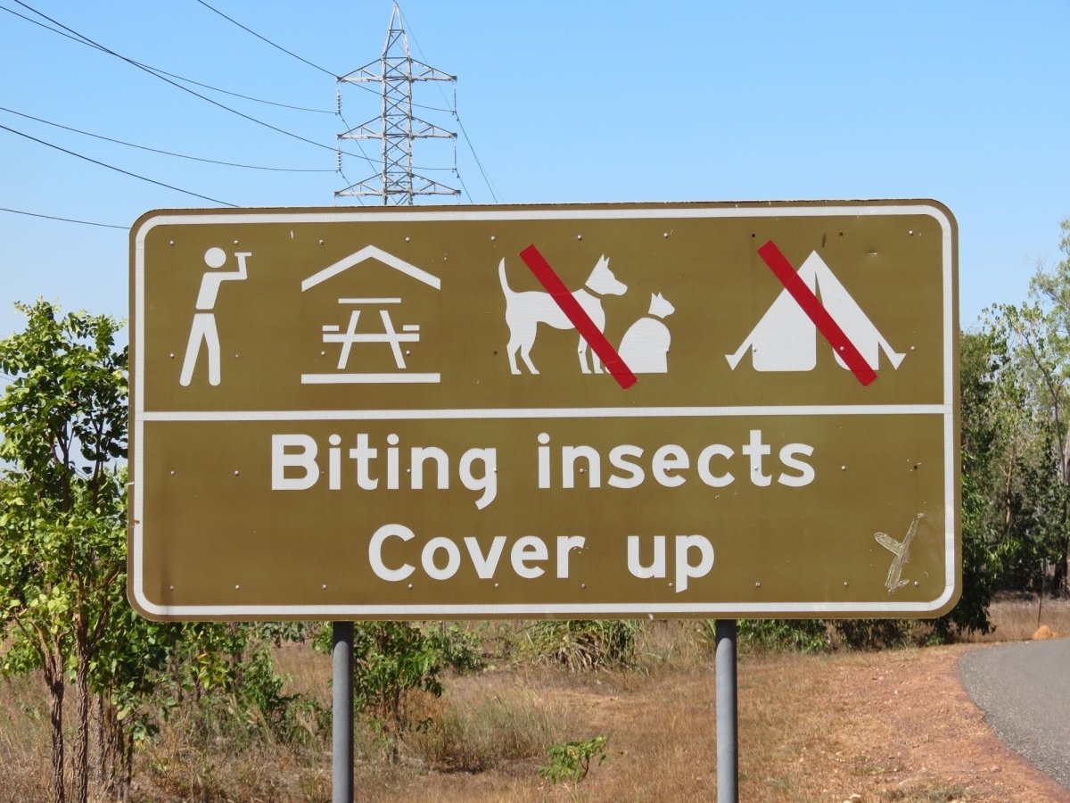 Take the sting out of the bee sting — how to avoid, prevent and gain relief from insect bites and stings - A247 Gear