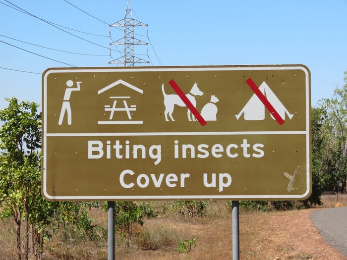 Take the sting out of the bee sting — how to avoid, prevent and gain relief from insect bites and stings - A247 Gear